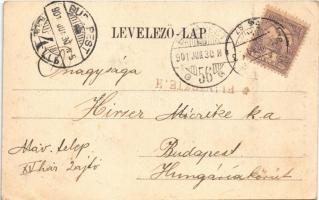 1901 Turnu Severin, Szörényvár; Trajansthurm / tower. Hutterer G. Art Nouveau, floral (EK)