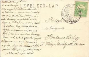 1909 Ipolyság, Sahy; Vármegyeháza, piac, üzlet. Polgár J. kiadása / county hall, market, shop + &quo...