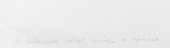 Für Emil (1967-): A farkasember tűzzel kínálja az apácát, 2004. Ceruza, akril, papír, jelzett, 35×50...