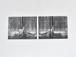 Berentz Péter (1972-): Szarvasok (cím nélkül). Dombornyomás, computer print, papír, 40,5×65 cm