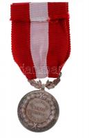 Románia ~1900. "Felsőoktatási Érdemérem / I. Károly" Ag kitüntetés mellszalagon (~16g) T:1...