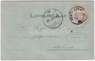 1901 Törökszentmiklós, látkép, Honvéd szobor 1848-1849. Kardos Lajos kiadása (r)