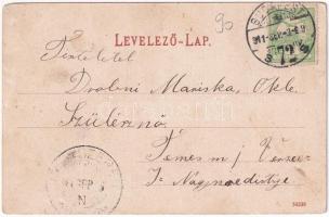 1911 Dunaföldvár, Kossuth Lajos utca, piac, Schwendtner Ferenc üzlete és saját kiadása (felületi sér...