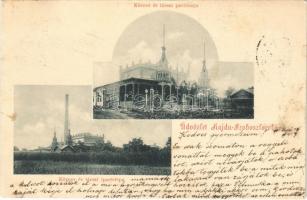 1901 Hajdúszoboszló, Hajdú-Szoboszló; Körner és társai ipartelepe és pavilonja (Rb)