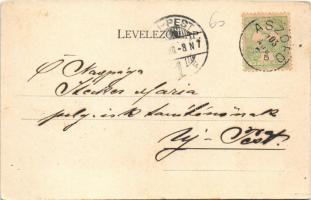 1905 Balatonszepezd, Szepezd; parti részlet, templom. Mérei Ignác kiadása (fl)