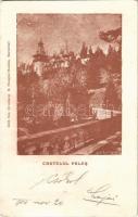 1900 Sinaia, Castelul Peles / castle