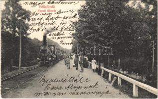 1913 Félixfürdő, Félikszfürdő, Baile Felix; vasútállomás, gőzmozdony / railway station, locomotive