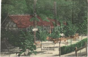 1912 Félixfürdő, Félikszfürdő, Baile Felix; vasútállomás. Helyfi László kiadása / railway station