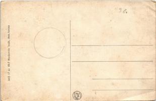 Beszterce, Bistritz, Bistrita; Búzasor, piac, üzletek / Kornmarkt / market, shops (ázott / wet damag...