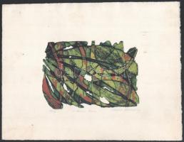 Sheigla Hartman (1943-): Dennis Back, 1969. Színes rézkarc, papír, jelzett, művészpéldány E/A, kissé foltos, 12×17 cm