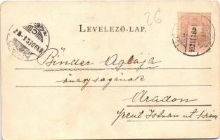 1899 Déva, Deva; vár, Holtzer Károly, Szőcs F. Lajos, Hirsch Testvérek, Farkas üzlete. Hirsch Adolf ...