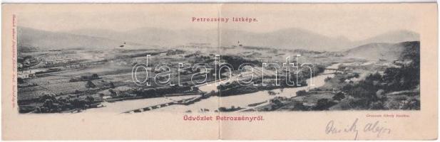 1900 Petrozsény, Petrosani; látkép a fűrészteleppel. Grausam Károly kiadása. Honisch udvari fényképész felvétele. Kihajtható panorámalap / folding panoramacard with sawmill (fl)