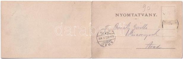 1900 Petrozsény, Petrosani; látkép a fűrészteleppel. Grausam Károly kiadása. Honisch udvari fényképé...