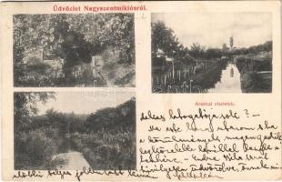 1911 Nagyszentmiklós, Sannicolau Mare; Arankai részletek./ Aranca (Zlatica) riverside, riverbank (EK)