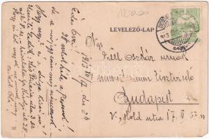 1913 Dicsőszentmárton, Tarnaveni, Diciosanmartin; "Erzsébet" nyomdai műintézet, könyvnyomd...