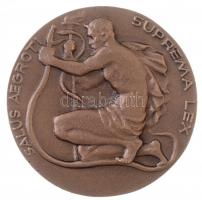 Reményi József (1887-1977) 1955. "Korányi Frigyes Emlékére - A Magyar TBC Orvosok / Salvus Aegr...