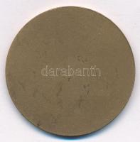 DN "Magyar Vöröskereszt VIII. Kerületi Vezetősége - Véradók Napja" egyoldalas Br emlékérem...