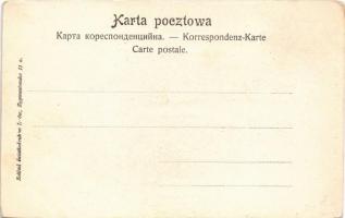 Nedec, Niedzica (mai Lengyelország, Magas-Tátra); Widok od str. zachodniej / vár / castle (EK)