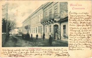 Chernivtsi, Czernowitz, Cernauti, Csernyivci (Bukovina); Landhausgasse / street view. Verlag Josef Horowitz (Rb)