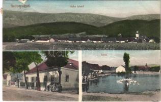 1911 Saubersdorf (Sankt Egyden am Steinfeld), Hohe Wand, Schule, Teich / mountain, school, lake. Julius Seiser (fl)