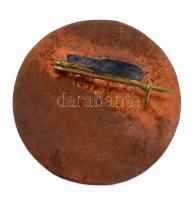 ~1990. "Magyar Madártani Egyesület Solymász Szakosztály" zománcozott Br jelvény (30mm) T:2