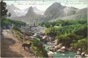 Tátra, Magas-Tátra, Vysoké Tatry; Zöldtóhoz vezető út. Cattarino S. kiadása 188. 1905. / Weg zum grünen See