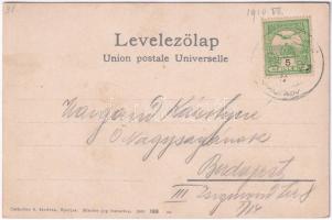 Tátra, Magas-Tátra, Vysoké Tatry; Zöldtóhoz vezető út. Cattarino S. kiadása 188. 1905. / Weg zum grü...