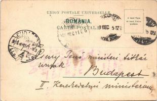 1905 Bucharest, Bukarest, Bucuresti, Bucuresci; Ferma Scolei Centrale de Agricultura. Grup de Vaci l...