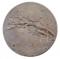 NDK 1964. "Schwimmspartakiade" ezüstözött Br úszósport plakett, a Dynamo Dresden címerével...