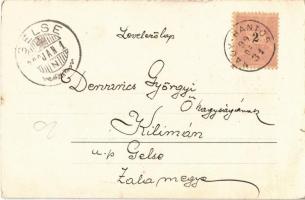 1899 Austro-Hungarian K.u.K. military art postcard, officer with ladies. litho (EK)