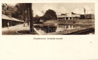 Tata-Tóváros Uszoda