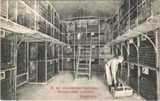 Budapest XXII. Budafok, M. kir. pincemesteri tanfolyam, Palackbor-raktár a pincében, belső. Hollenzer és Okos budai műterméből