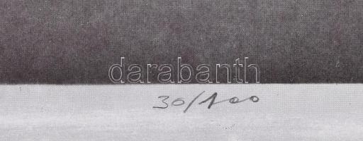 Schmal Károly (1942-): Concerto, 1981. Ofszet, papír, jelzett, számozott (30/100). Az 1981-ben, Bart...