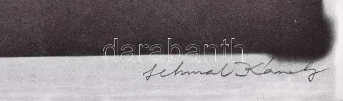 Schmal Károly (1942-): Concerto, 1981. Ofszet, papír, jelzett, számozott (30/100). Az 1981-ben, Bart...