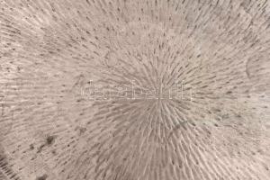 Ezüst (Ag) mattlézott füles tálca, jelzett, nettó: 721g, 38,5x25cm