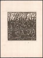 Somlai Vilma (1938-2007): E.J. emlékére, 1983. Linómetszet, papír, jelzett, művészpéldány E.A. jelzéssel, lap széle foltos, paszpartuban, 20×20 cm