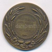 Berán Lajos (1882-1943) 1939. "Magyar Evezős Szövetség / Középiskolások Korm. Négyese II. Bpest...