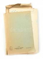 1894 Temesvár-Lippa-Radnai vasút engedélyezési dokumentációja