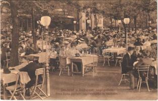 1912 Budapest X. Róna Gyula népligeti nagyvendéglője és kávéháza, étterem kertje vendégekkel. Pauker kiadása (EK)