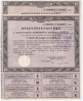 Budapest 1946. A Salgó-Tarjáni Kőszénbánya Részvény-Társulat részvényutalványa öt darab 30P névértékű részvényre, szelvényekkel, szárazpecséttel (2x) sorszámkövetők T:II-