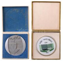 1972. "Ajka Városi Tanács Kórháza" festett, jelzett hollóházi porcelán emlékérem tokban (8...