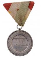 1919. I.d. Ferencz Városi Torna Club jelzetlen Ag díjérem (~24g/40mm) T:2