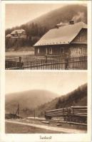 1941 Turbacil (Királymező, Ust-Chorna, Königsfeld); faszállító iparvasút / timber transporting industrial railway