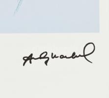 Andy Warhol (1928-1987): Superman Litográfia, papír. Sorszámozot 54/100 jelzett a nyomaton. Georges ...