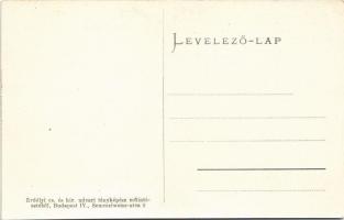 Budapest XIV. Lovag Wechselmann Ignác és neje Neuschloss Zsófia (Zsidó) Vakok Tanintézete. mexikói ú...