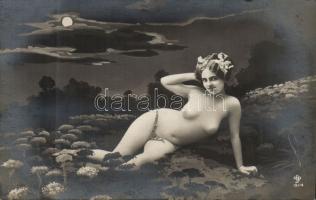Erotic nude art postcard (small tear)