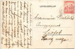 Pusztakürt (Jászkisér), villa és kertje (fl)