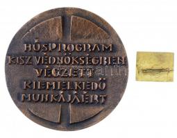 DN "KISZ Védnökség / Húsprogram KISZ Védnökségben végzett kiemelkedő munkájáért" Br emléké...