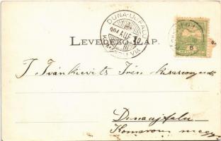 1904 Nagysáros, Velky Saris; II. Rákóczi Ferenc kastélya. Fénynyomat Divald műintézetéből / castle