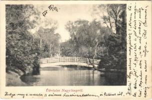 1905 Nagyláng (Soponya), Zichy kastély parkja, híd. Keresztény Fogyasztási Szövetkezet kiadása (EB)
